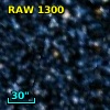 RAW 1300