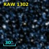 RAW 1302
