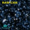 RAW 1304