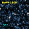 RAW 1305
