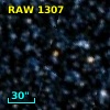 RAW 1307
