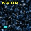 RAW 1313