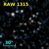 RAW 1315