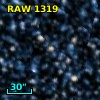 RAW 1319