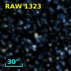 RAW 1323