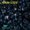 RAW 1325