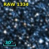 RAW 1334