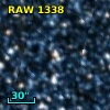 RAW 1338