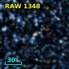 RAW 1348