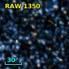 RAW 1350