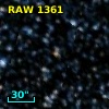 RAW 1361