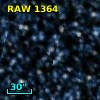 RAW 1364
