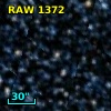 RAW 1372