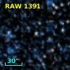 RAW 1391