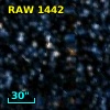 RAW 1442