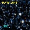 RAW 1446