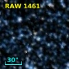 RAW 1461
