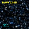 RAW 1495