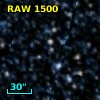 RAW 1500