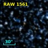 RAW 1561