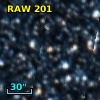 RAW  201