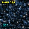 RAW  266