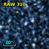 RAW  310