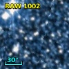RAW 1002
