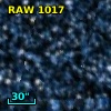 RAW 1017