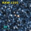 RAW 1135