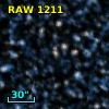 RAW 1211