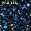 RAW 1341