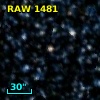 RAW 1481