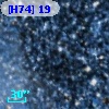 [H74] 19