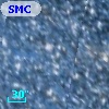 SMC ASS 12