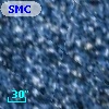 SMC ASS 17