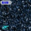 RAW 1009
