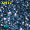 LIN  59