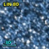 LIN  80