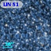 LIN  81
