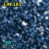 LIN 161