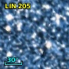 LIN 205