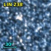 LIN 238