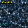LIN 411