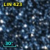LIN 423