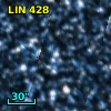 2MASS J01041498-7248108