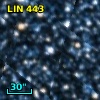 LIN 443