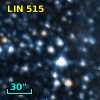 LIN 515