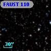 FAUST  110