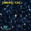 [MH95]  724